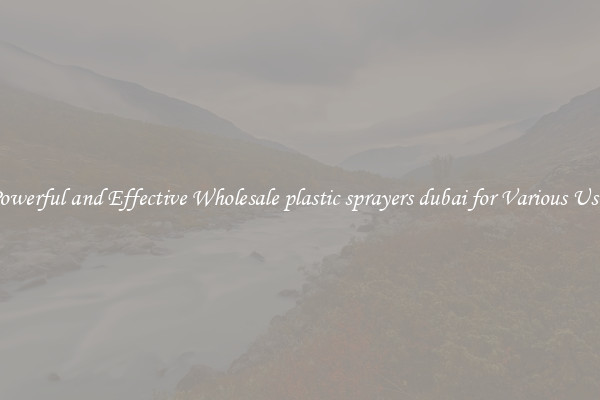 Powerful and Effective Wholesale plastic sprayers dubai for Various Uses
