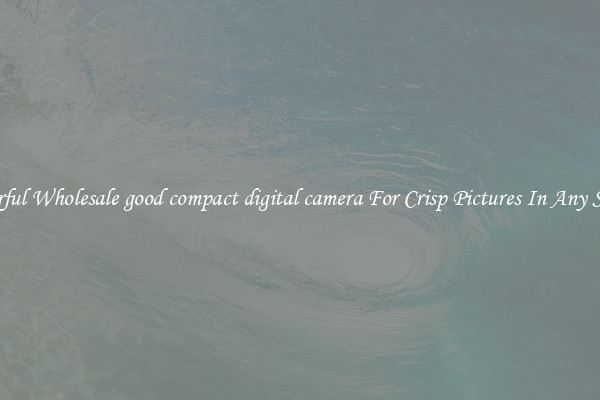Powerful Wholesale good compact digital camera For Crisp Pictures In Any Setting