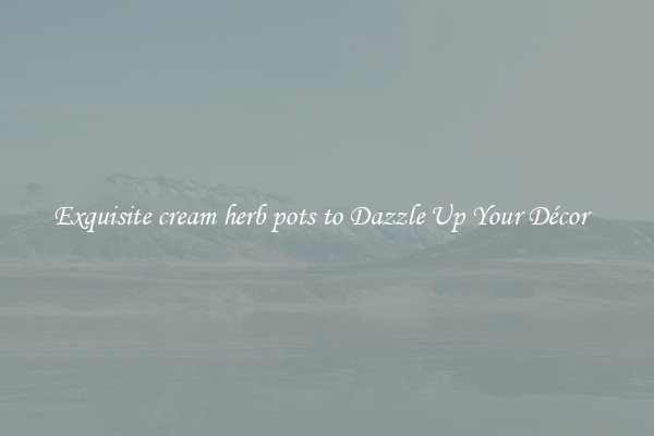 Exquisite cream herb pots to Dazzle Up Your Décor  