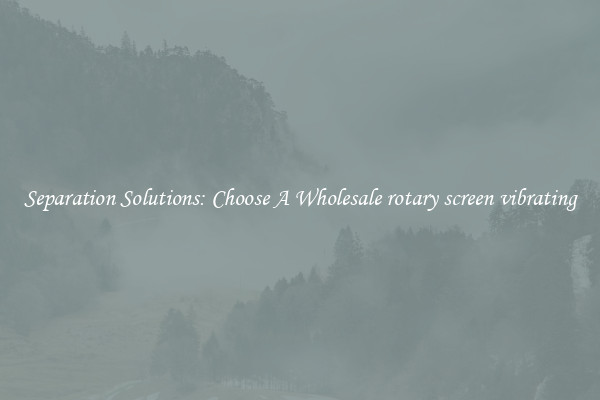 Separation Solutions: Choose A Wholesale rotary screen vibrating