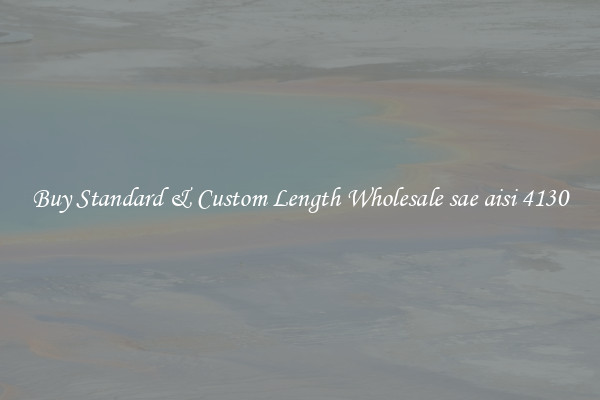 Buy Standard & Custom Length Wholesale sae aisi 4130