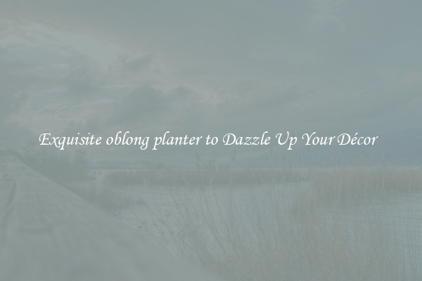 Exquisite oblong planter to Dazzle Up Your Décor  
