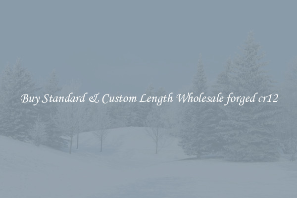 Buy Standard & Custom Length Wholesale forged cr12