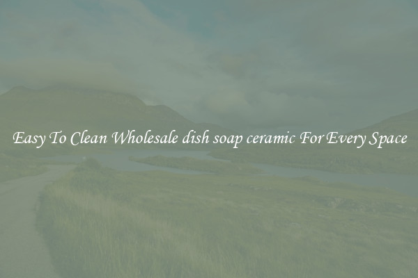 Easy To Clean Wholesale dish soap ceramic For Every Space