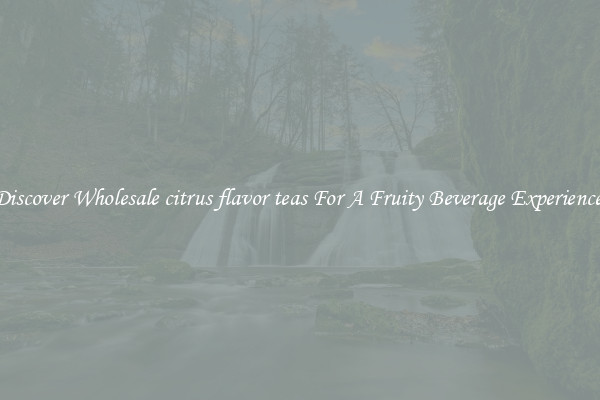 Discover Wholesale citrus flavor teas For A Fruity Beverage Experience 