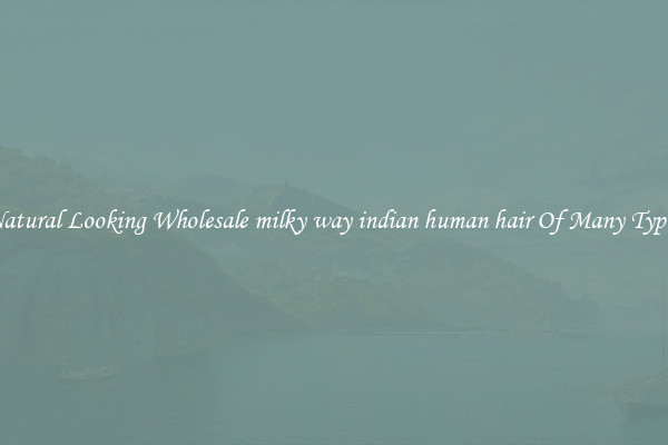 Natural Looking Wholesale milky way indian human hair Of Many Types