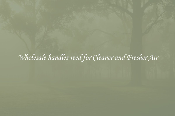 Wholesale handles reed for Cleaner and Fresher Air