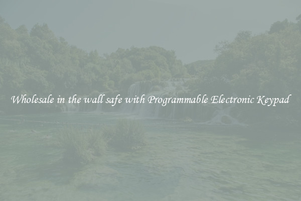 Wholesale in the wall safe with Programmable Electronic Keypad 