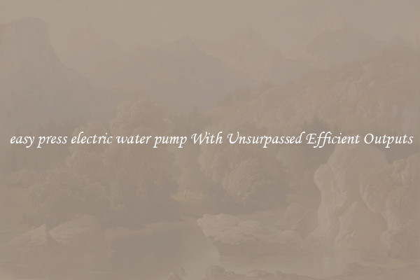easy press electric water pump With Unsurpassed Efficient Outputs