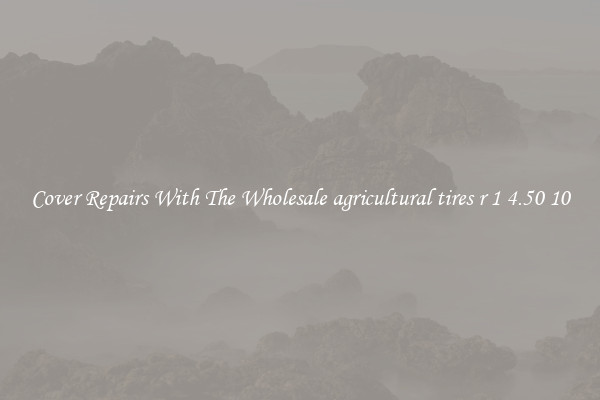  Cover Repairs With The Wholesale agricultural tires r 1 4.50 10 