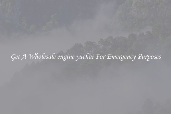 Get A Wholesale engine yuchai For Emergency Purposes