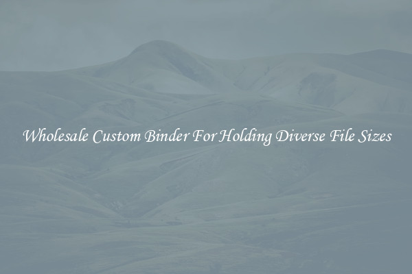 Wholesale Custom Binder For Holding Diverse File Sizes