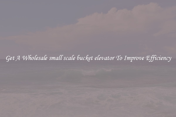Get A Wholesale small scale bucket elevator To Improve Efficiency