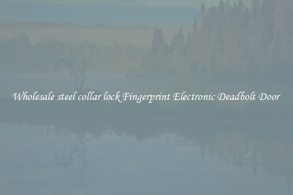 Wholesale steel collar lock Fingerprint Electronic Deadbolt Door 