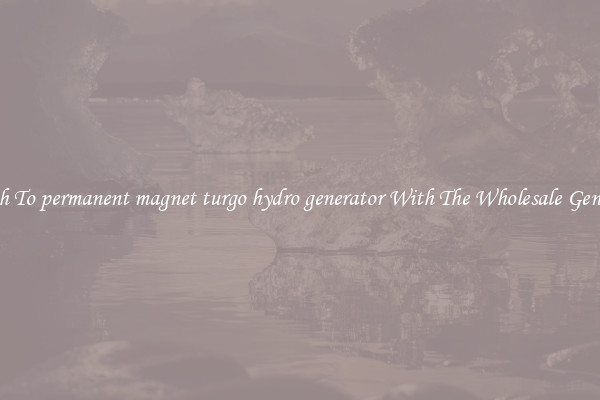 Switch To permanent magnet turgo hydro generator With The Wholesale Generator