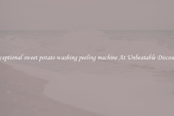 Exceptional sweet potato washing peeling machine At Unbeatable Discounts