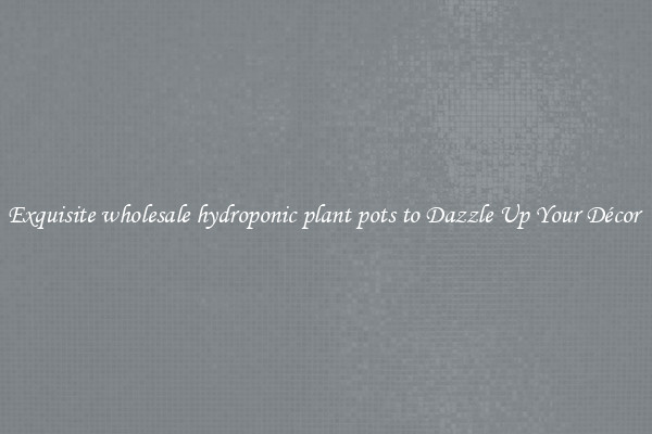 Exquisite wholesale hydroponic plant pots to Dazzle Up Your Décor 