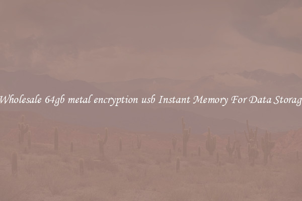 Wholesale 64gb metal encryption usb Instant Memory For Data Storage