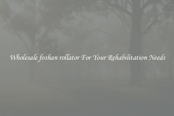Wholesale foshan rollator For Your Rehabilitation Needs
