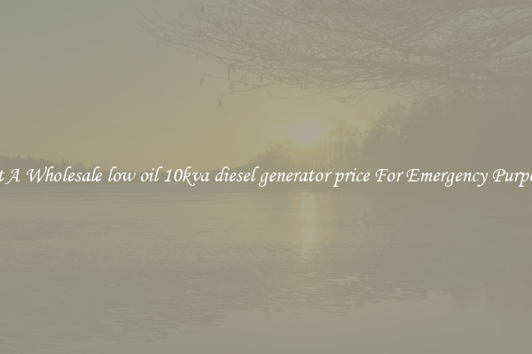 Get A Wholesale low oil 10kva diesel generator price For Emergency Purposes