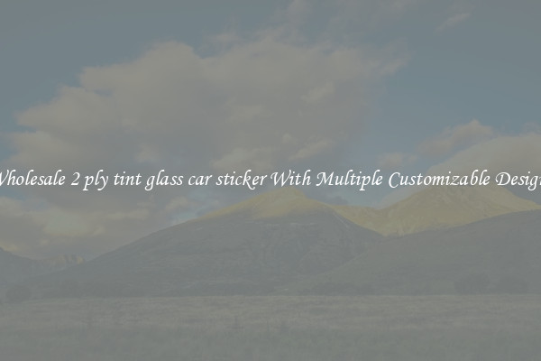 Wholesale 2 ply tint glass car sticker With Multiple Customizable Designs