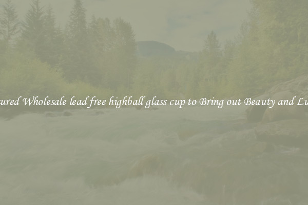 Featured Wholesale lead free highball glass cup to Bring out Beauty and Luxury