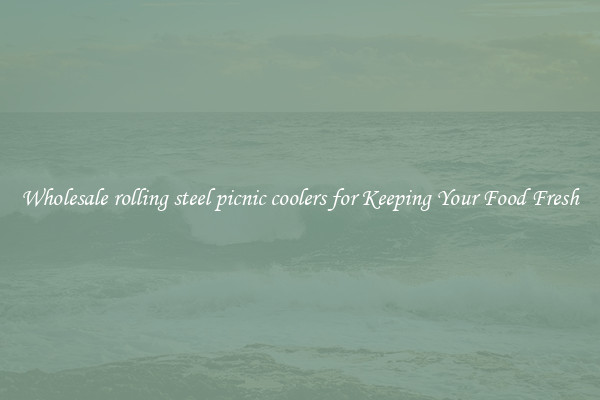 Wholesale rolling steel picnic coolers for Keeping Your Food Fresh