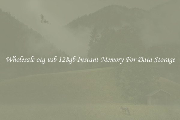 Wholesale otg usb 128gb Instant Memory For Data Storage