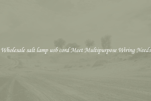 Wholesale salt lamp usb cord Meet Multipurpose Wiring Needs