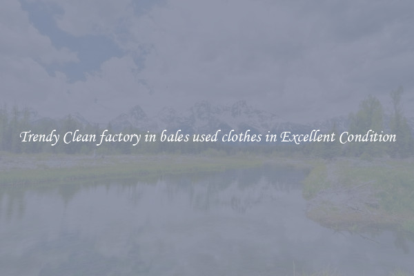 Trendy Clean factory in bales used clothes in Excellent Condition